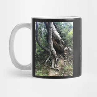 Beautiful Tree Roots Mug